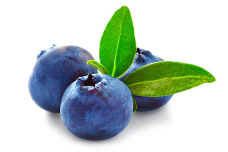 6 Remarkable Reasons Why Blueberries are the Ultimate Fruit - Juicerville