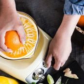 Ankarsrum ® Citrus Press - Juicerville