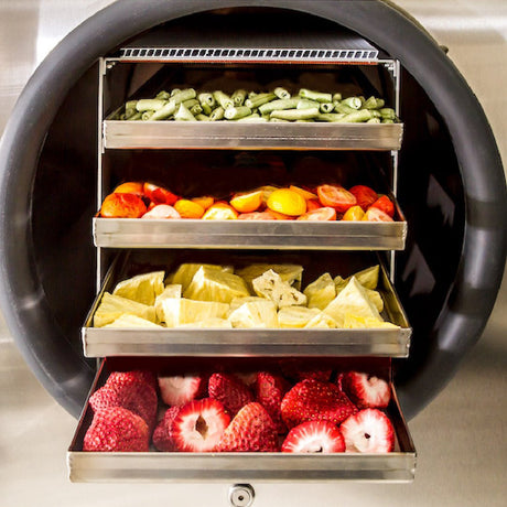 Exploring the Inner Workings of Freeze Dryers: How Do They Work? - Juicerville