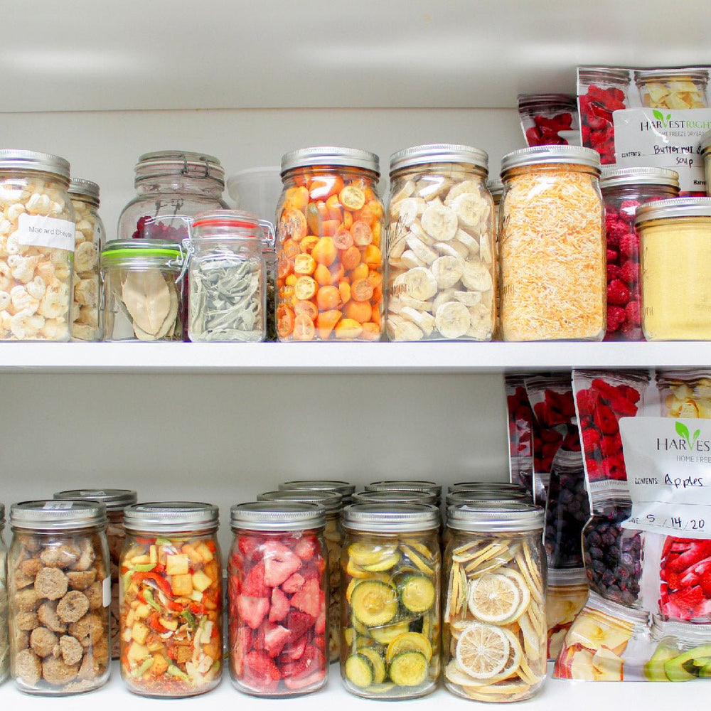 Freeze Drying vs. Dehydrating Understanding the Differences Juicerville